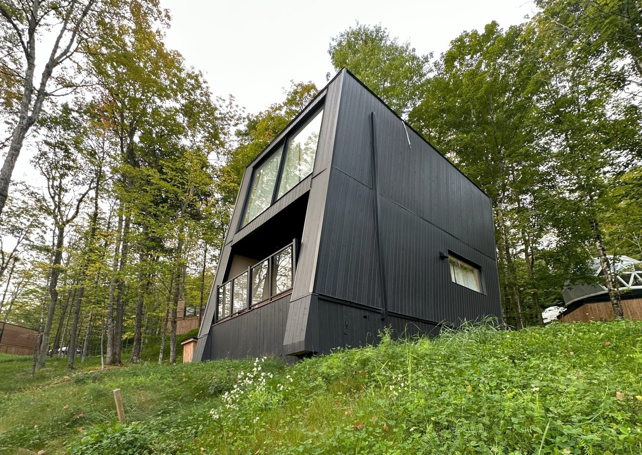 Portada Néstor Andrés Mancini