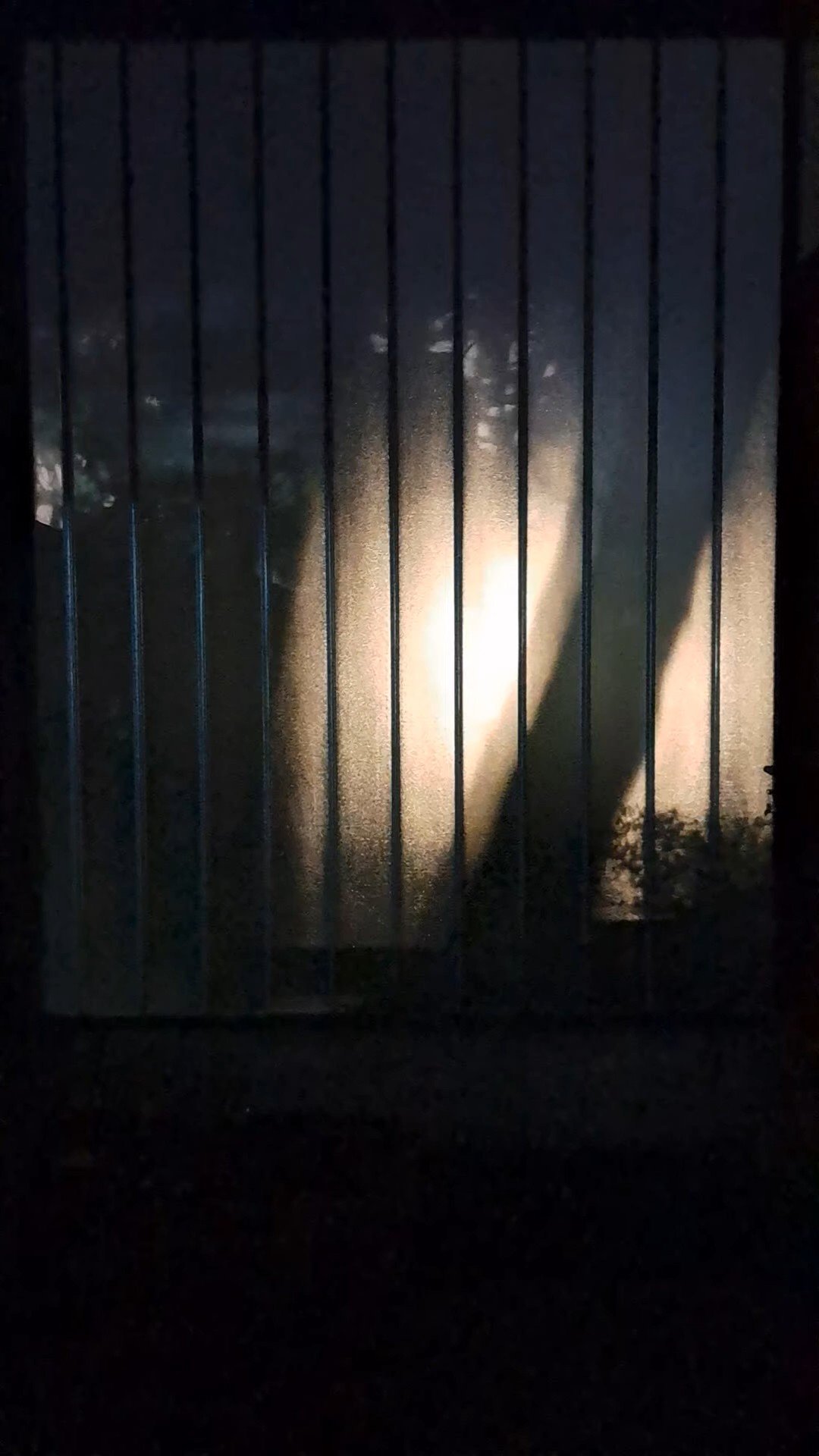 Portada Mauro Sebastián D'Ambrosio