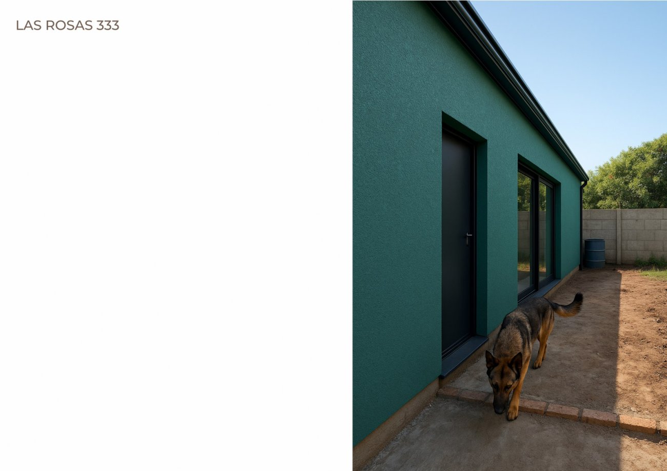 Portada Hemilse Baez