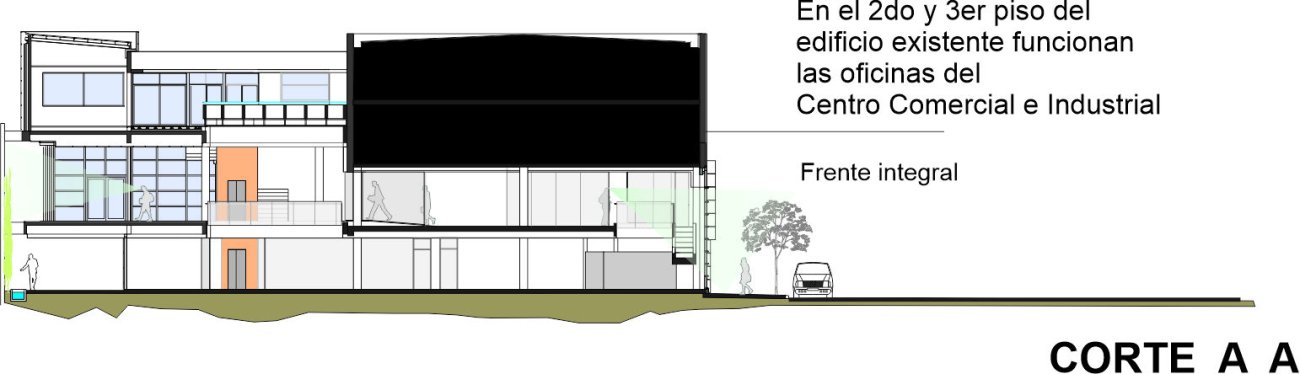 Imagen del perfil