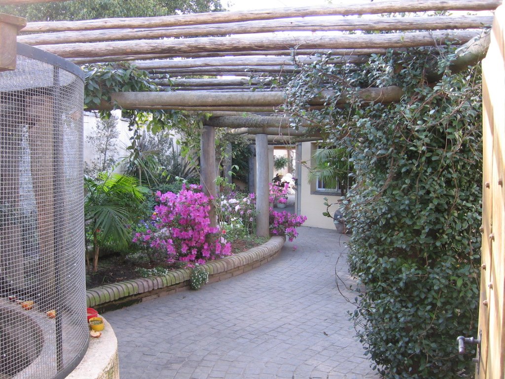 Imagen del perfil